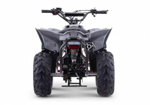 Apollo Quad Sano Predator 110cc